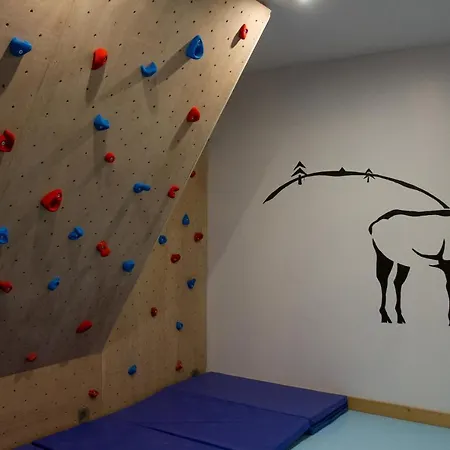 Gîte de standing 9P avec sauna&salle d'escalade * La Bresse