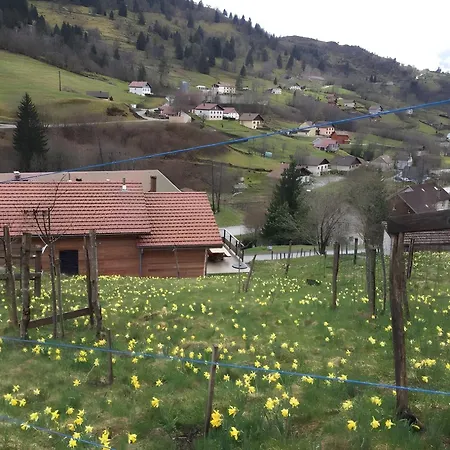 Chalet Les Boullias - Sauna