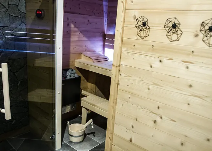 De Standing 9p Avec Sauna & Salle D'escalade Horská chata La Bresse